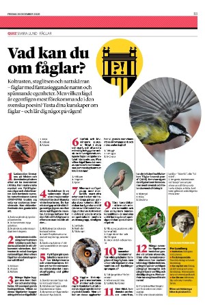 helsingborgsdagblad_b-20201225_000_00_00_003.pdf