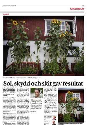 helsingborgsdagblad_b-20210907_000_00_00_009.pdf