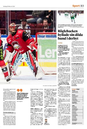 helsingborgsdagblad_b-20240225_000_00_00_003.pdf