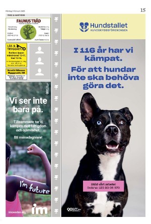 helsingborgsdagblad_b-20250203_000_00_00_015.pdf