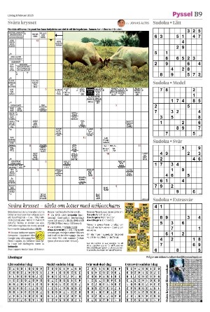 helsingborgsdagblad_b-20250208_000_00_00_009.pdf