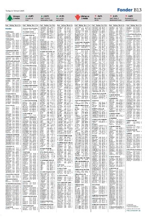 helsingborgsdagblad_b-20250211_000_00_00_013.pdf