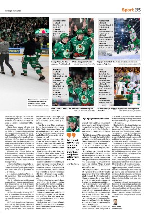 helsingborgsdagblad_b-20250308_000_00_00_005.pdf
