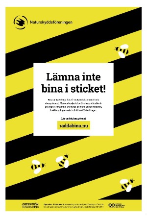 helsingborgsdagblad_b-20250613_000_00_00_008.pdf