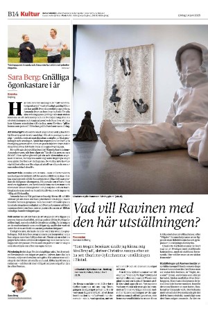 helsingborgsdagblad_b-20250614_000_00_00_014.pdf