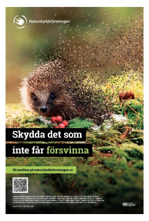 helsingborgsdagblad_b-20250619_000_00_00_020.pdf