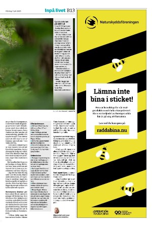 helsingborgsdagblad_b-20250707_000_00_00_013.pdf