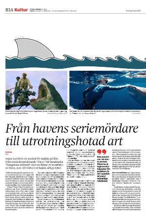 helsingborgsdagblad_b-20250709_000_00_00_014.pdf