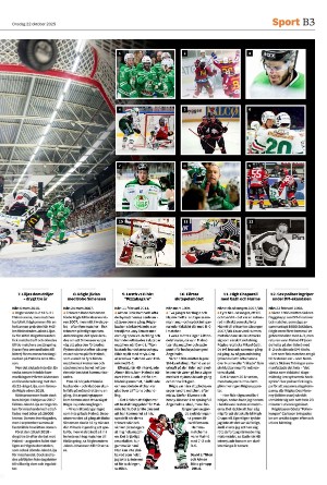 helsingborgsdagblad_b-20251022_000_00_00_003.pdf