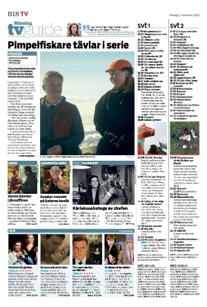 helsingborgsdagblad_b-20251117_000_00_00_018.pdf