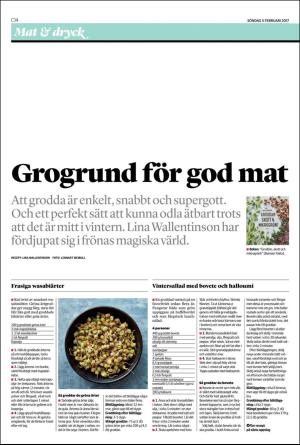 helsingborgsdagblad_c-20170205_000_00_00_014.pdf