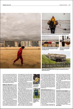 helsingborgsdagblad_c-20170521_000_00_00_013.pdf