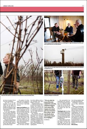 helsingborgsdagblad_c-20180407_000_00_00_005.pdf