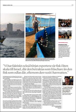 helsingborgsdagblad_c-20180429_000_00_00_011.pdf