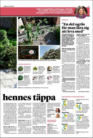helsingborgsdagblad_c-20180609_000_00_00_005.pdf