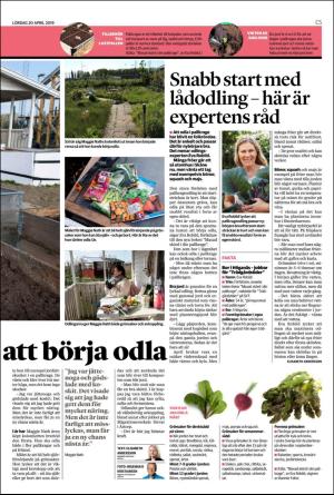 helsingborgsdagblad_c-20190420_000_00_00_005.pdf