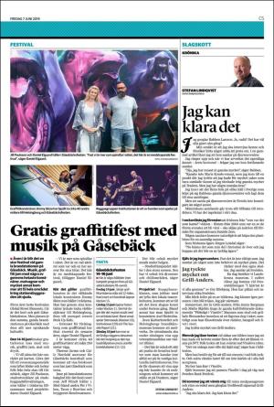 helsingborgsdagblad_c-20190607_000_00_00_005.pdf