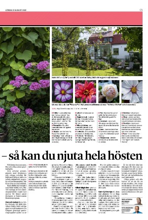 helsingborgsdagblad_c-20210821_000_00_00_005.pdf