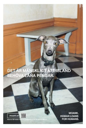 helsingborgsdagblad_c-20211120_000_00_00_014.pdf