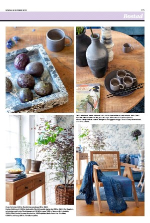 helsingborgsdagblad_c-20221009_000_00_00_015.pdf