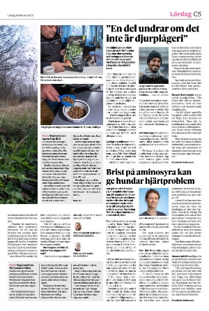 helsingborgsdagblad_c-20250208_000_00_00_005.pdf