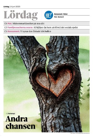 helsingborgsdagblad_c-20250614_000_00_00.pdf