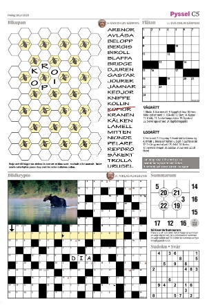 helsingborgsdagblad_c-20250718_000_00_00_005.pdf
