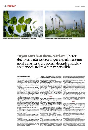 helsingborgsdagblad_c-20250727_000_00_00_006.pdf