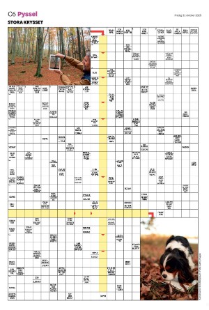 helsingborgsdagblad_c-20251031_000_00_00_006.pdf helsingborgsdagblad_c-20251031_000_00_00_006.pdf