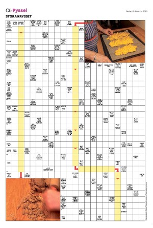 helsingborgsdagblad_c-20251212_000_00_00_006.pdf