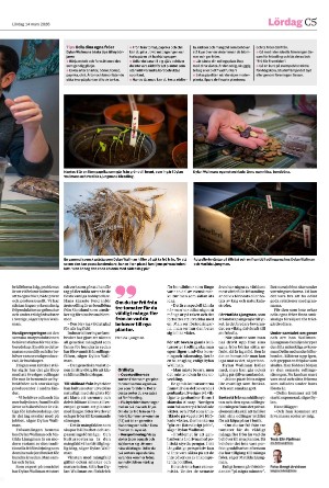 helsingborgsdagblad_c-20260314_000_00_00_005.pdf