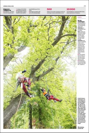 helsingborgsdagblad_d-20160528_000_00_00_005.pdf