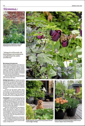 helsingborgsdagblad_d-20180513_000_00_00_006.pdf