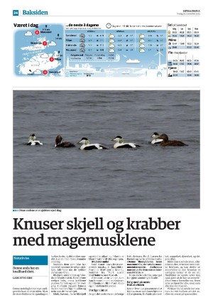 hitrafroya-20251128_000_00_00_024.pdf