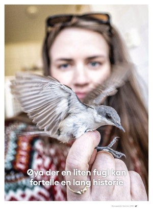 hitrafroya_bilag2-20250620_000_00_00_047.pdf