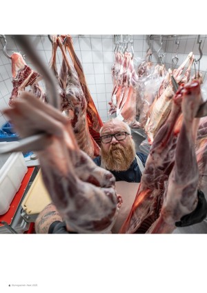 hitrafroya_bilag2-20250926_000_00_00_004.pdf