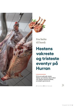 hitrafroya_bilag2-20250926_000_00_00_005.pdf