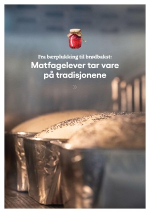 hitrafroya_bilag2-20250926_000_00_00_013.pdf