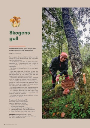 hitrafroya_bilag2-20250926_000_00_00_032.pdf