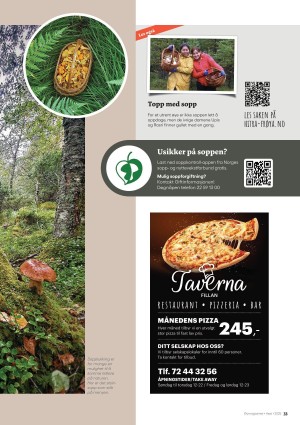 hitrafroya_bilag2-20250926_000_00_00_033.pdf