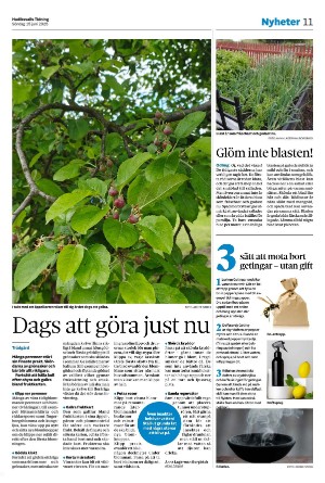 hudiksvallstidning-20250615_000_00_00_011.pdf