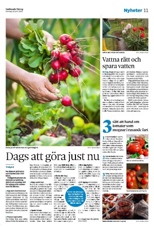 hudiksvallstidning-20250629_000_00_00_011.pdf