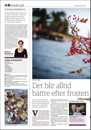 hudiksvallstidning_bilag-20161028_000_00_00_014.pdf