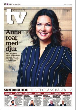 hudiksvallstidning_bilag-20170331_000_00_00_016.pdf