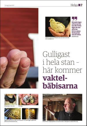hudiksvallstidning_bilag-20170413_000_00_00_007.pdf