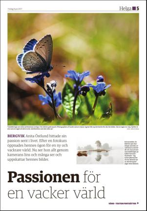 hudiksvallstidning_bilag-20170609_000_00_00_005.pdf