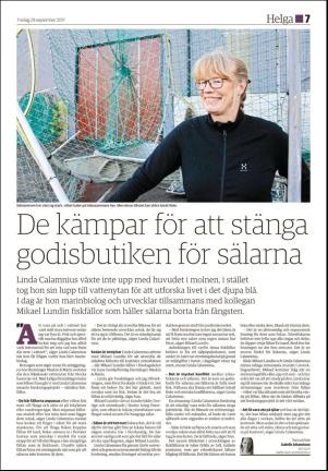 hudiksvallstidning_bilag-20170929_000_00_00_007.pdf