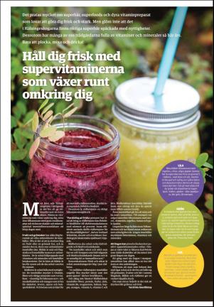 hudiksvallstidning_bilag-20170929_000_00_00_012.pdf