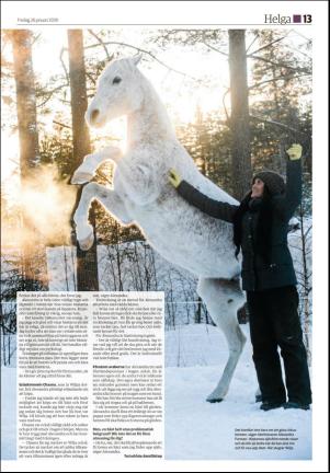 hudiksvallstidning_bilag-20180126_000_00_00_013.pdf