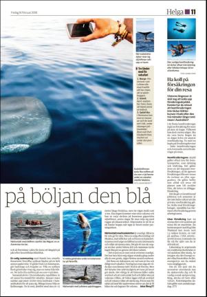 hudiksvallstidning_bilag-20180216_000_00_00_011.pdf